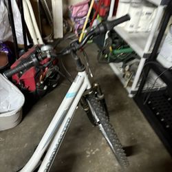 Mountain Bike 26”