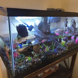40 Gallon Tank With Everything You Need 