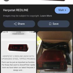 Reptile Thermostats