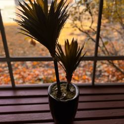 Artificial Potted Plant