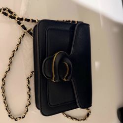 Coach Mini Purse