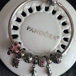 Pandora Mothers Day Charm Bracelet 