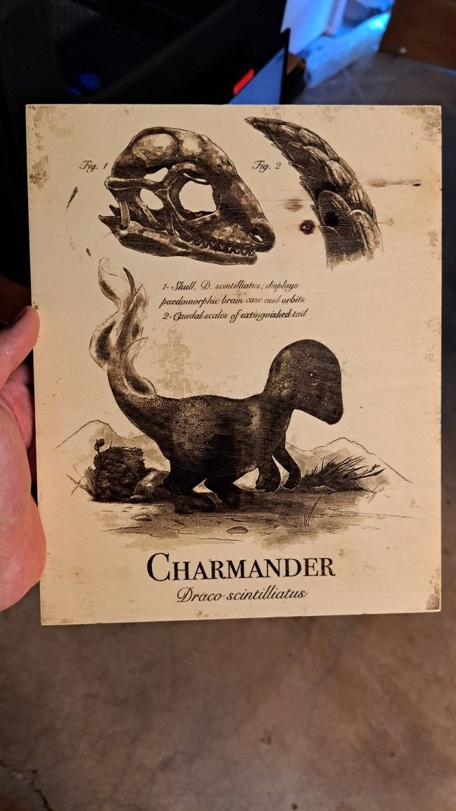 Pokemon Realistic CHARMANDER vintage Scientific Style