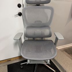 Brand New Grey All Mesh Tall Back Ergonomic Office Chair w/Adjustable Armrests & Slide Out Footrest
