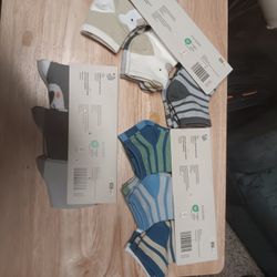 Toddler's Socks Low Cut and No Show 6 Pack
