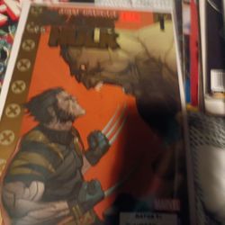 Hulk Vs Wolverine