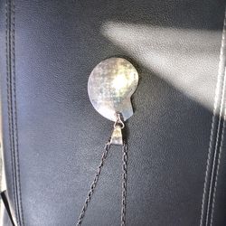 Silver encased ammonite