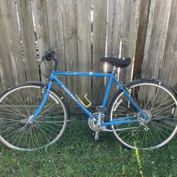 Adult Bicycles