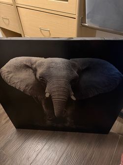 Large Elephant Canvas Wall Art – Black & White