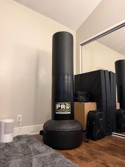Heavy Pro Standing Punching Bag ($700 value)