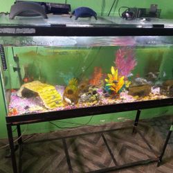 75 Galloon N Metal Stand 