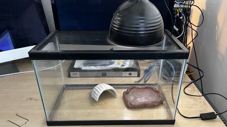 10 Gallon Reptile Kit