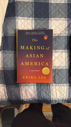 The Making Of Asian America