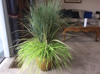 A Artificial Plant looks real