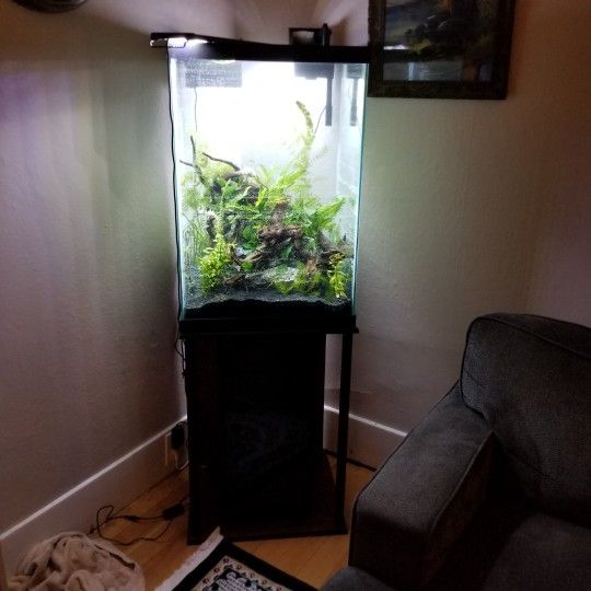45 Gallon Aquarium Fish tank & stand