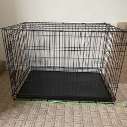 Dog Kennel