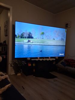 Large Flat Screen TV