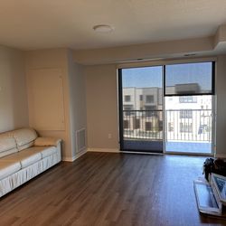 Very Comfortable Sofa/Bed