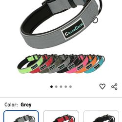 Dog Collar
