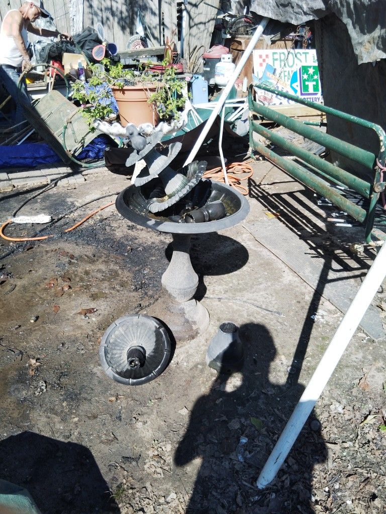 Bird Bath