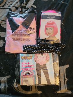 Pink ladies costume