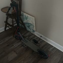Roinside E-Scooter 