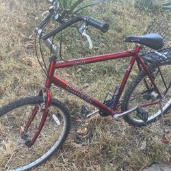 Mountain Bike