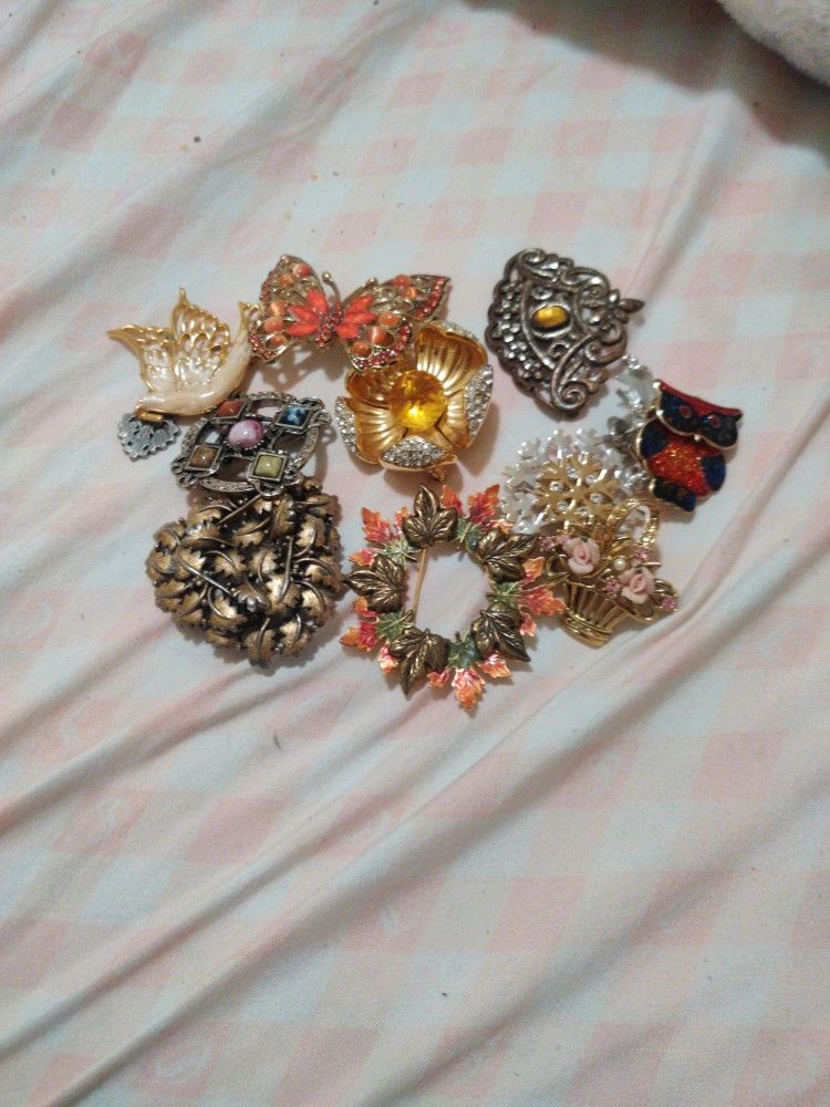 Different Brooches 