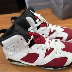 Jordan Carmine 6s 