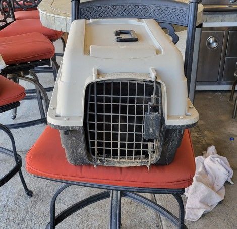 Dog Carrier