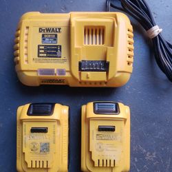 Dewalt Fast Charger And 2 Batteries 