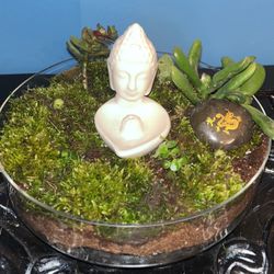 Terrarium Bowl