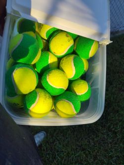 GAMMA Kids 78 Tennis Balls