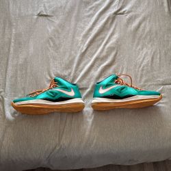 Size 14 LeBron 10 Shoes