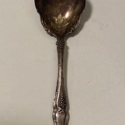 VINTAGE Grape Round Soup / Bouillon Spoons 1847 Rogers Bros Silver Plate