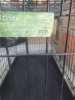Metal Dog Cage