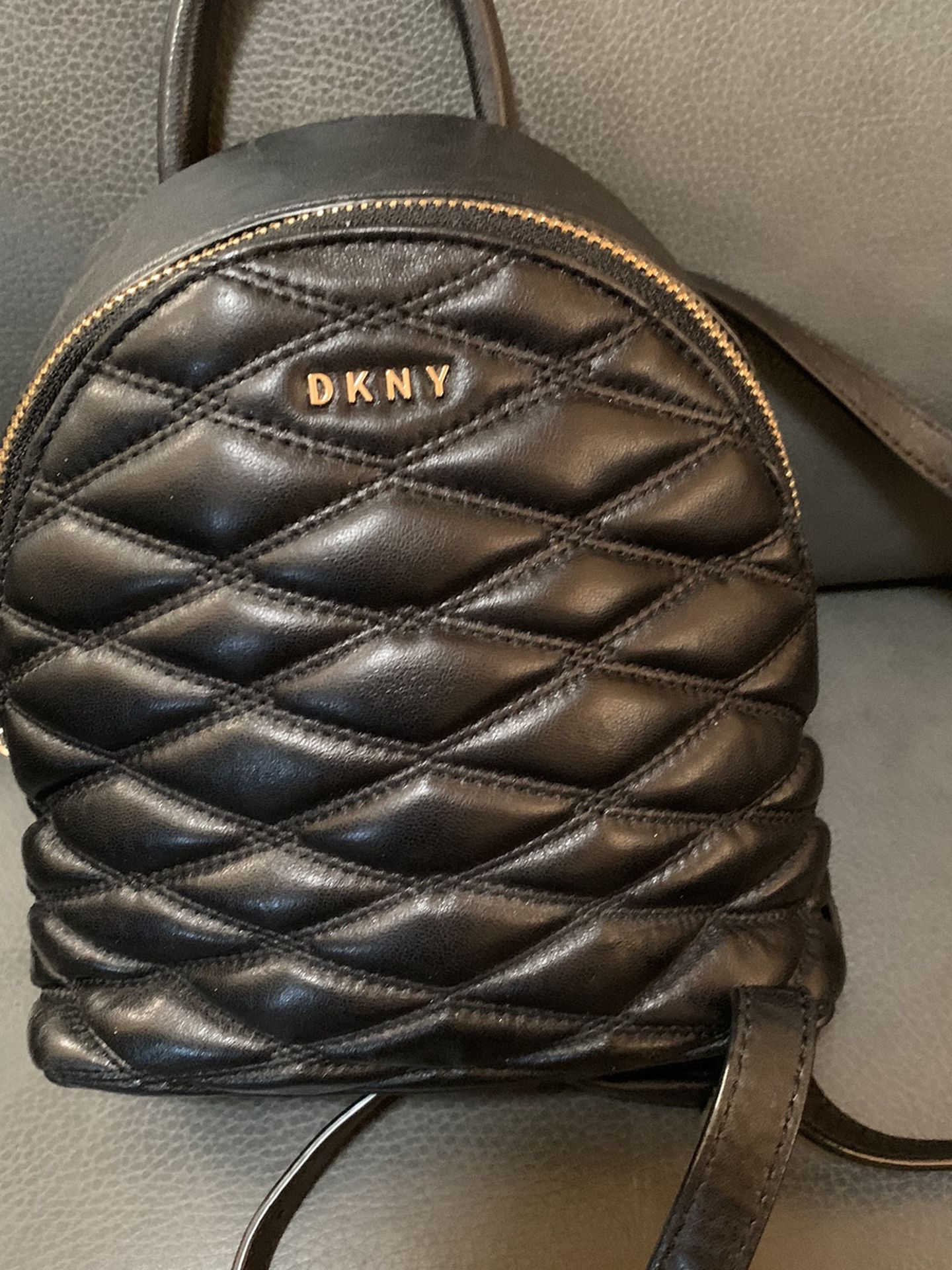 MINI DKNY Quilted Leather Crossbody Bag for Sale in Albuquerque, NM -  OfferUp
