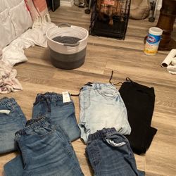 Hollister Jogger Pants 