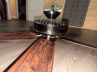Modern Ceiling Fan