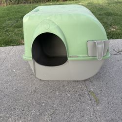 Cat Litter