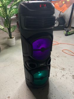 Party speaker