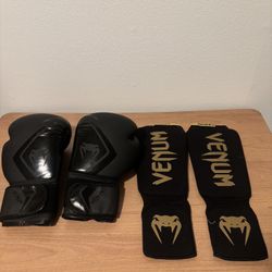 Muay Thai ,Boxing, MMA, Martial Arts, Venom,  Gloves And Shin Guards