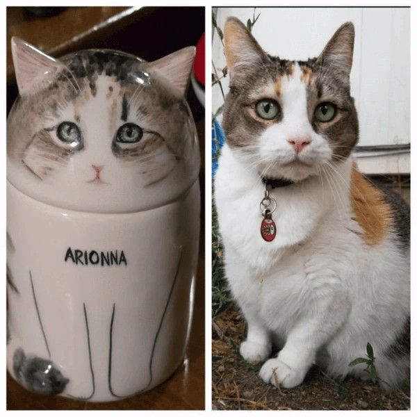 Custom Handcrafted Cat Urn (need pet photo)