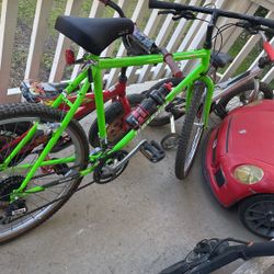 raleigh usa mountain bike