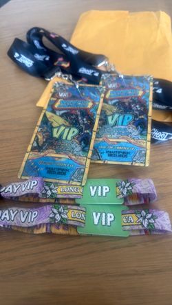 Warped tour VIP