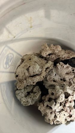Aquarium Rock