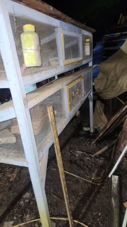 QUAIL CAGES