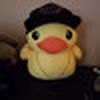 Duc