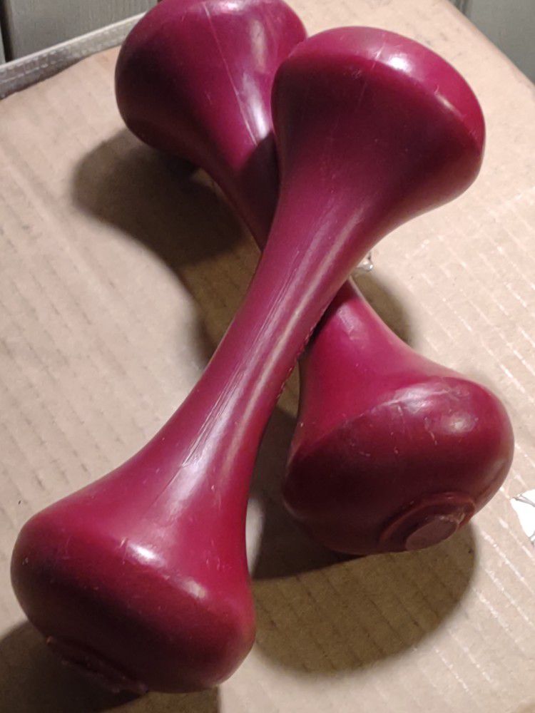Weirder Set Of Two Burgundy 5 Lb Dumbbell Weights
