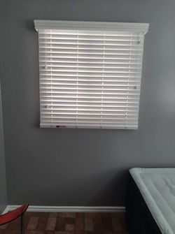 Window Blinds and Shutters 